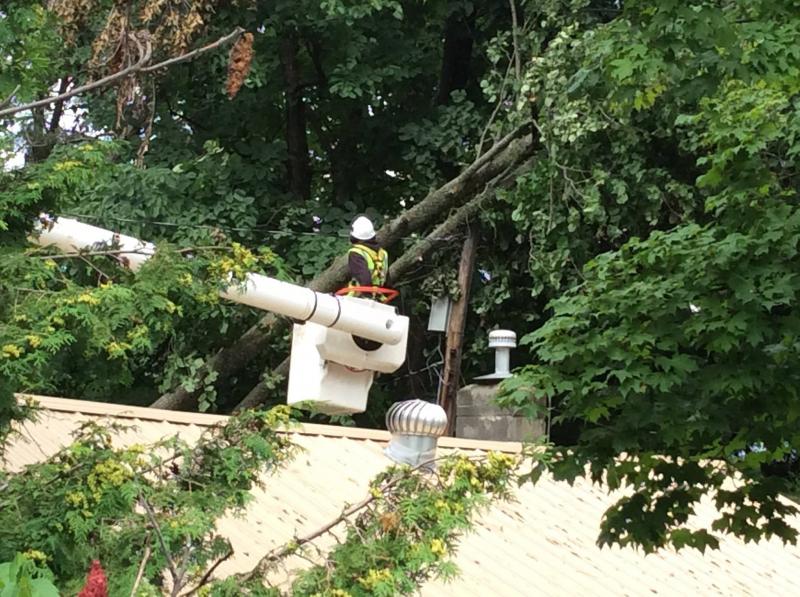 lineman and tree damage